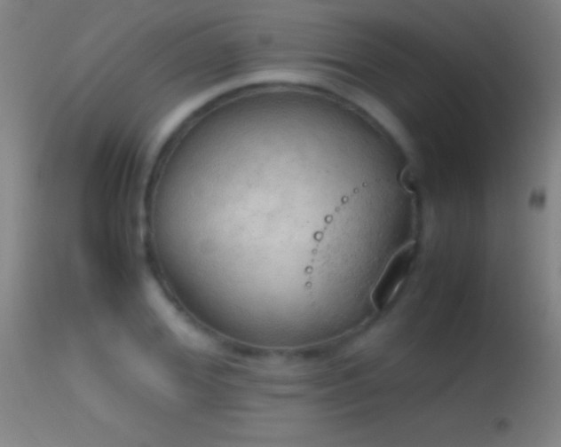 X0000114660980200910201527