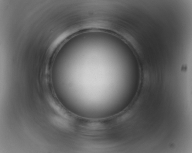 X0000114660982200910201527