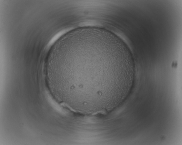 X0000114660983200910201527