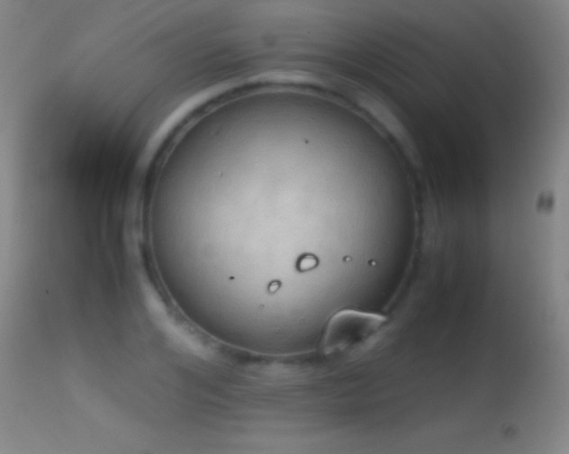 X0000114660984200910201527