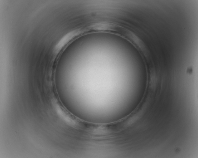 X0000114660986200910201527