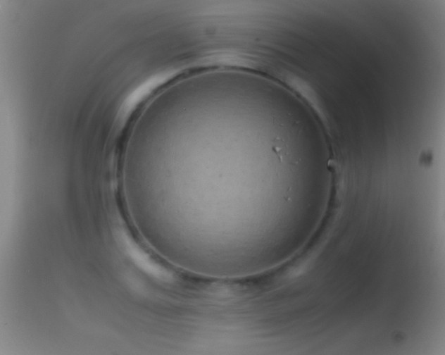 X0000114660987200910201527