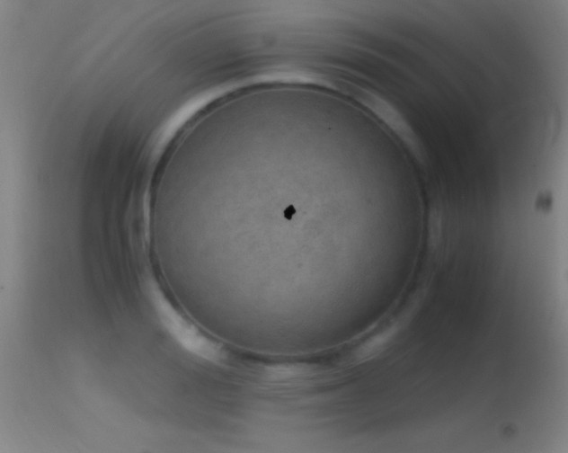 X0000114660988200910201527