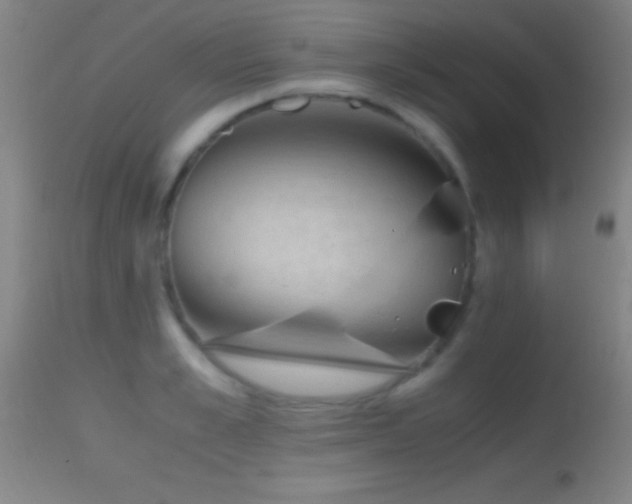 X0000114660989200910201527