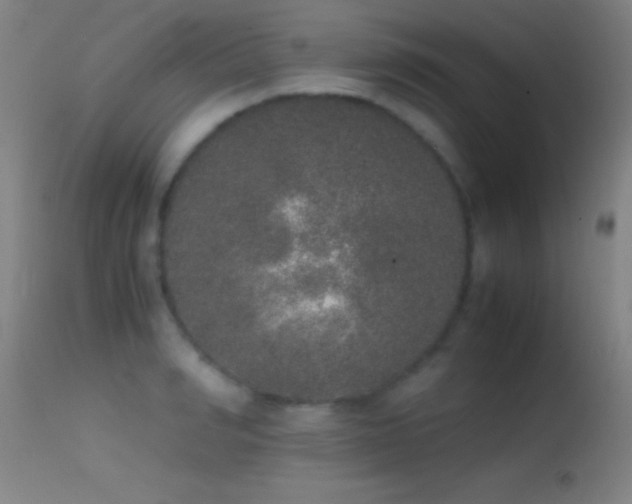 X0000114660990200910201527