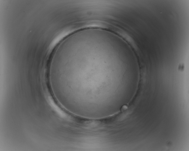 X0000114660991200910201527