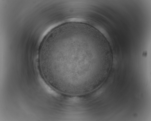 X0000114660992200910201527