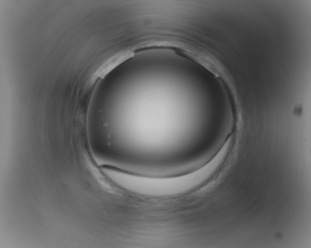 X0000114660993200910201527