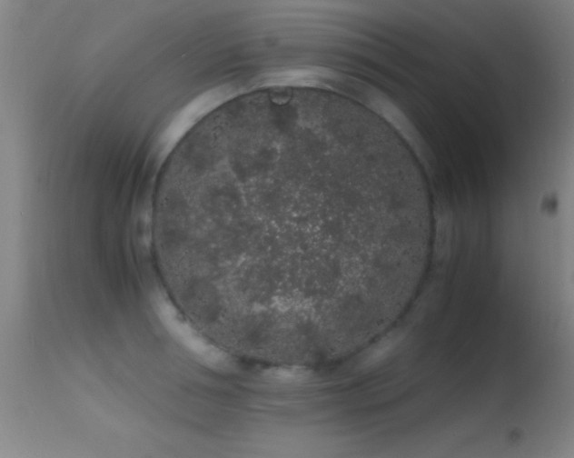 X0000114660994200910201527