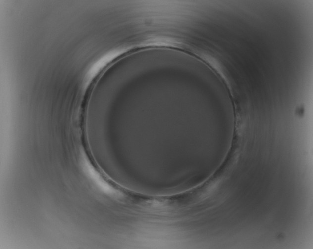 X0000114660995200910201527