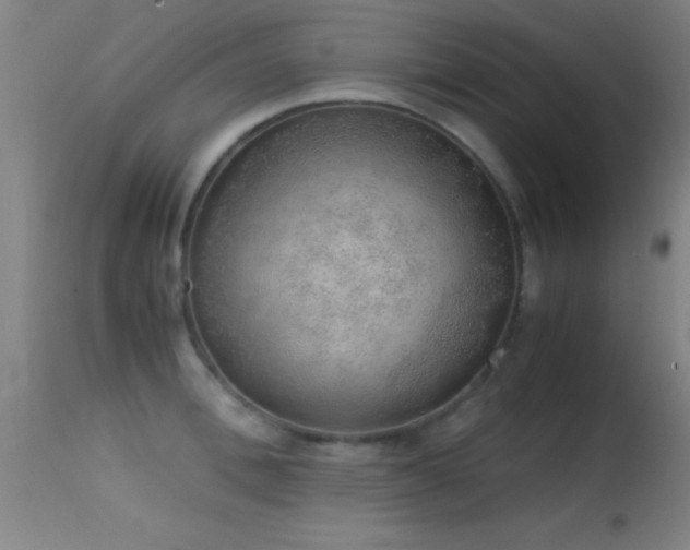 X0000114660996200910201527