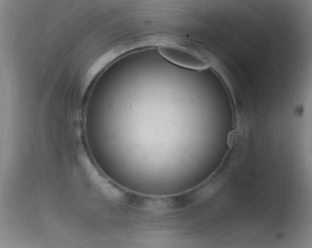 X0000114660997200910201527