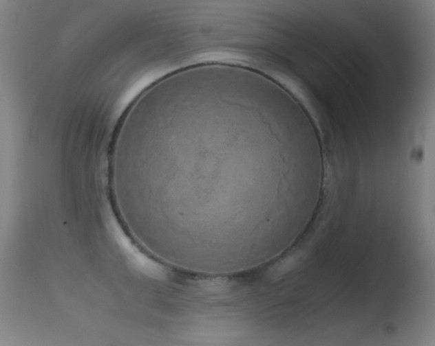 X0000114660999200910201526