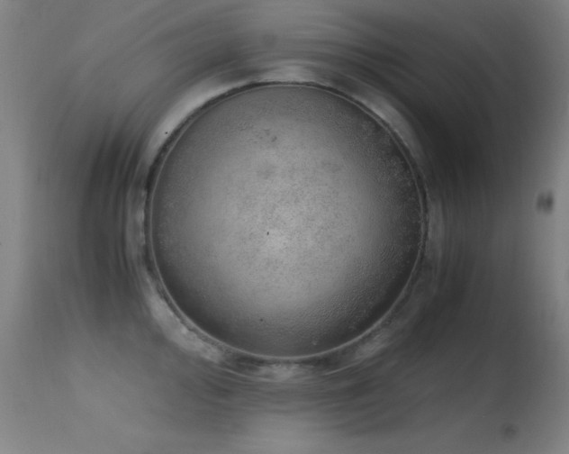 X0000114661000200910201526