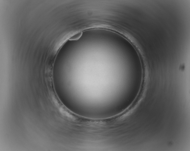 X0000114661001200910201526