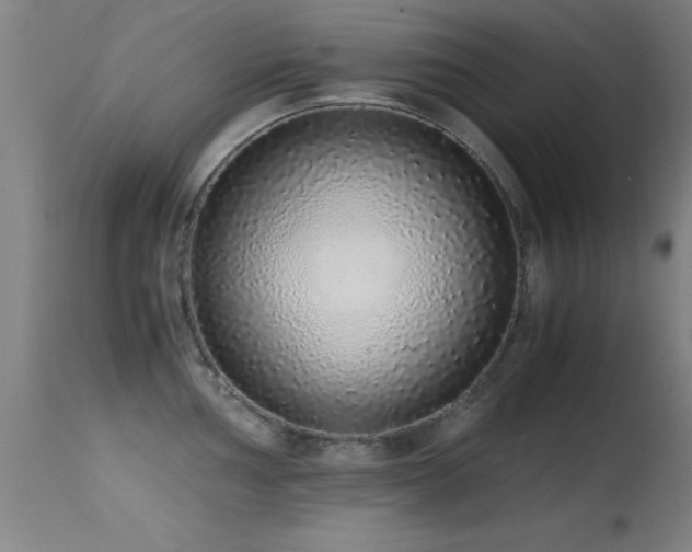 X0000114661002200910201526