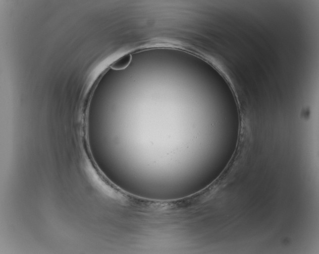 X0000114661003200910201526