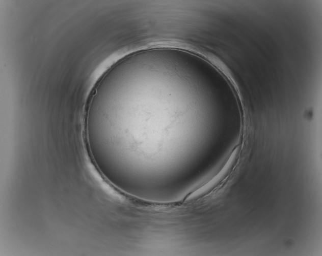 X0000114661005200910201526