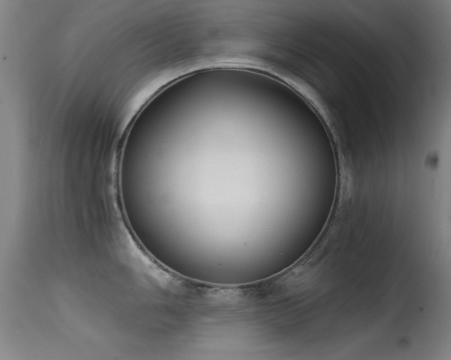 X0000114661006200910201526