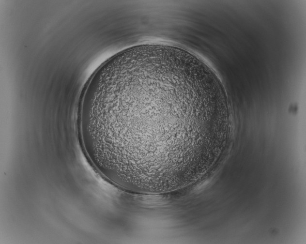 X0000114661007200910201526