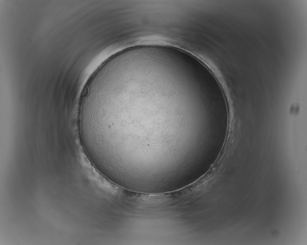 X0000114661008200910201526