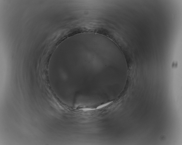 X0000114661009200910201526