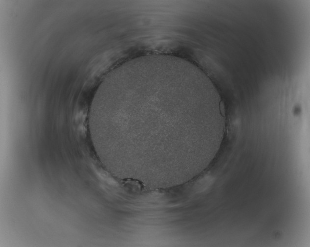 X0000114661010200910201526