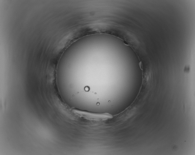 X0000114661012200910201526