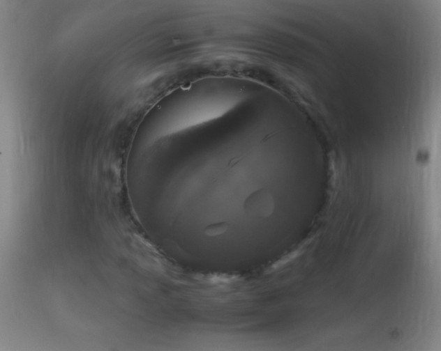 X0000114661013200910201526