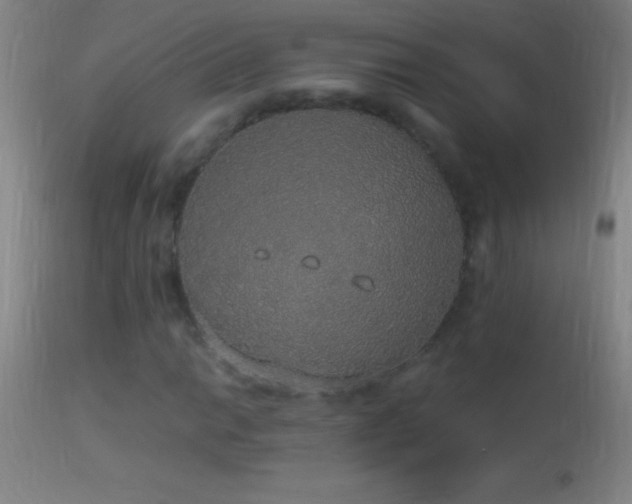 X0000114661014200910201526