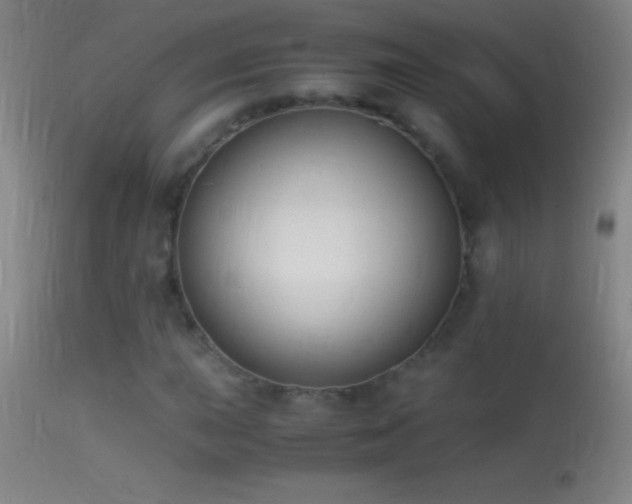 X0000114661015200910201526