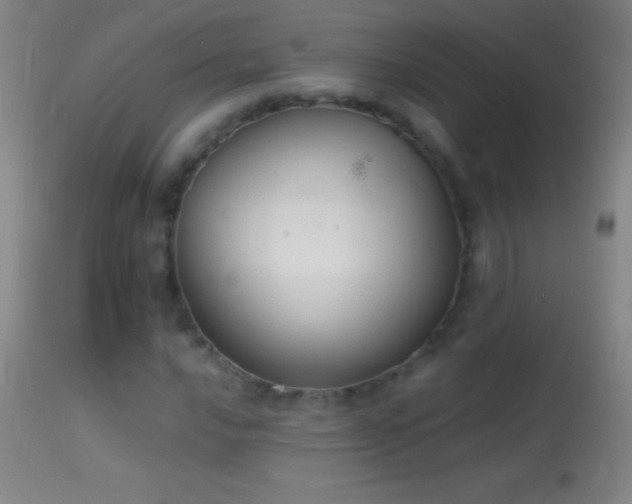 X0000114661016200910201526