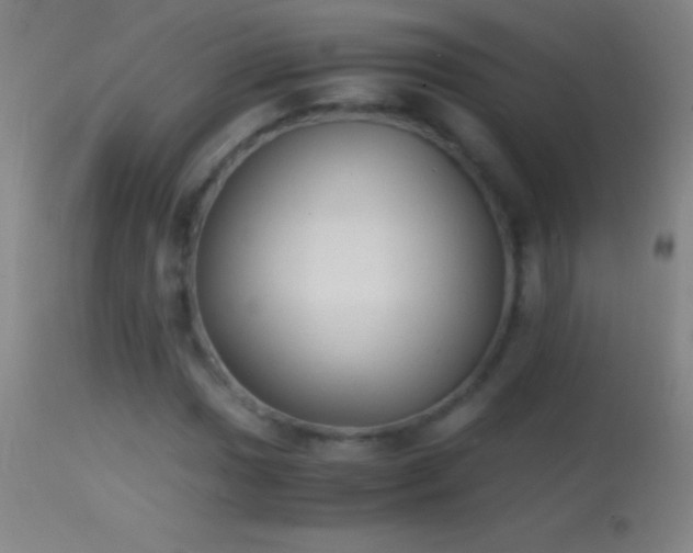 X0000114661017200910201526