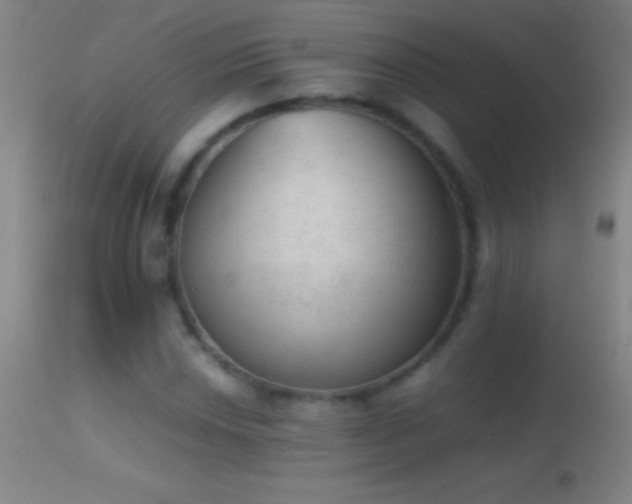 X0000114661018200910201526