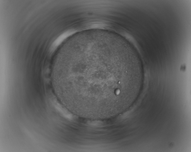 X0000114661019200910201526