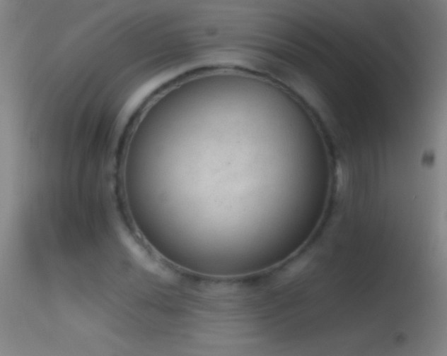 X0000114661020200910201526