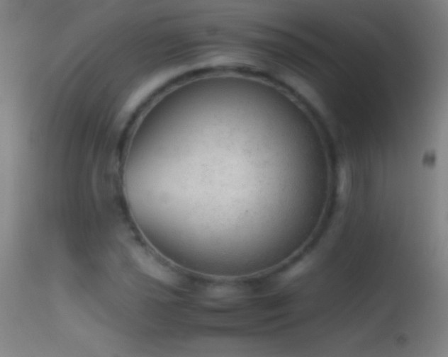 X0000114661021200910201526