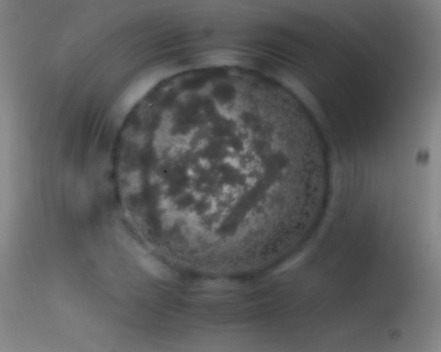 X0000114661023200910201526