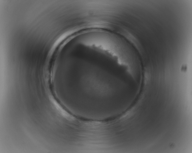 X0000114661024200910201526