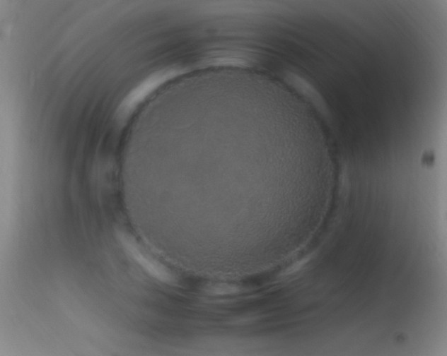 X0000114661027200910201526