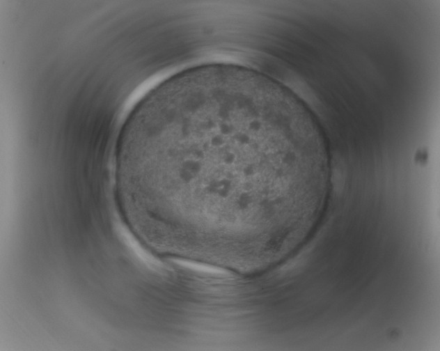 X0000114661028200910201526