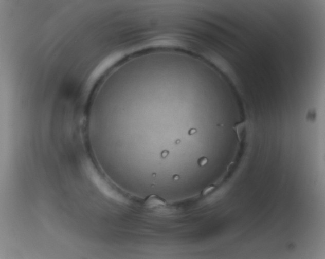 X0000114661029200910201526