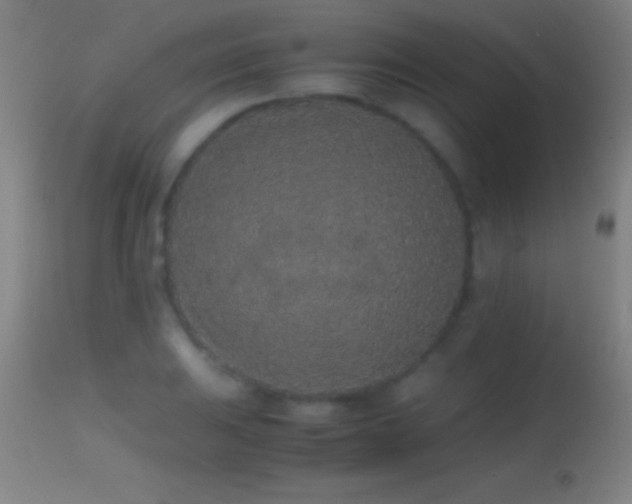 X0000114661031200910201526