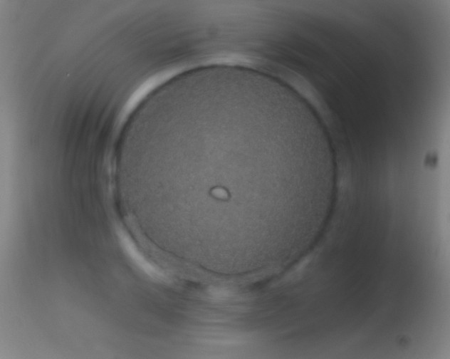 X0000114661032200910201526