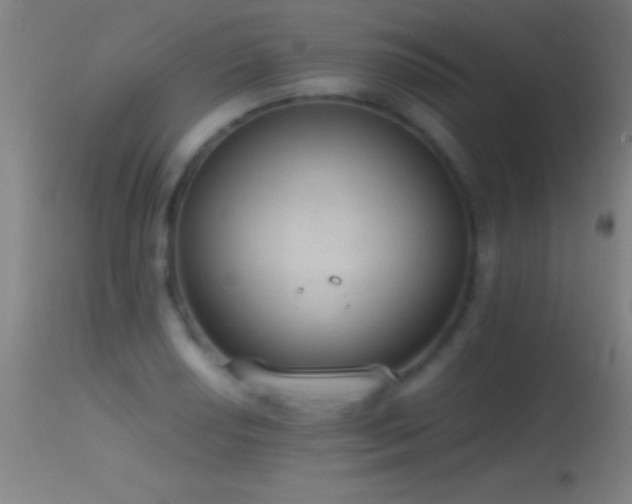 X0000114661034200910201526