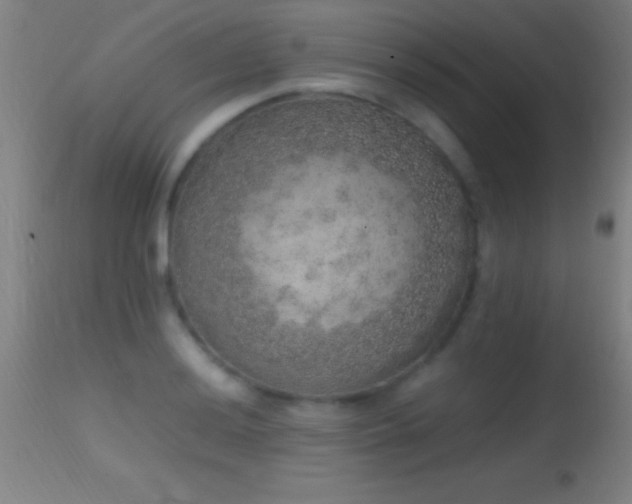 X0000114661036200910201526