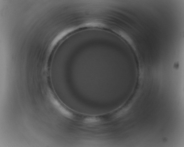 X0000114661037200910201526