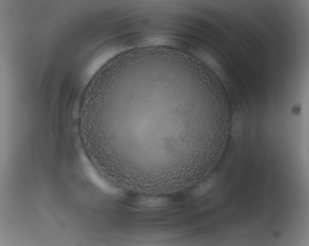 X0000114661039200910201526