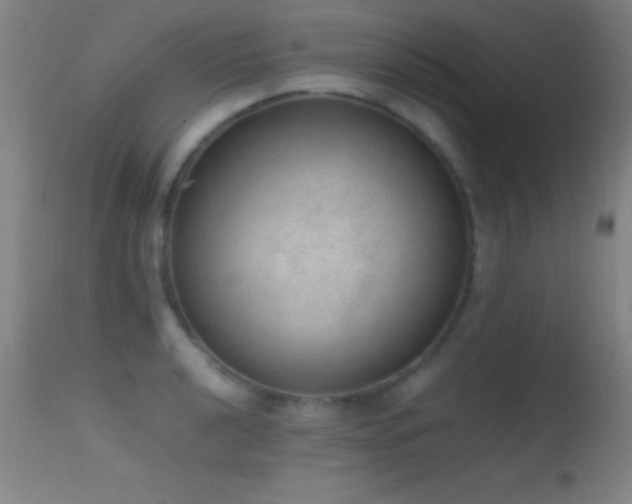 X0000114661040200910201526