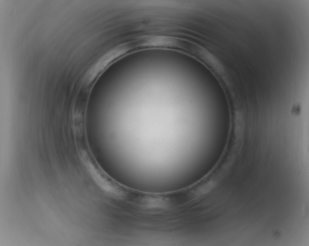 X0000114661041200910201526